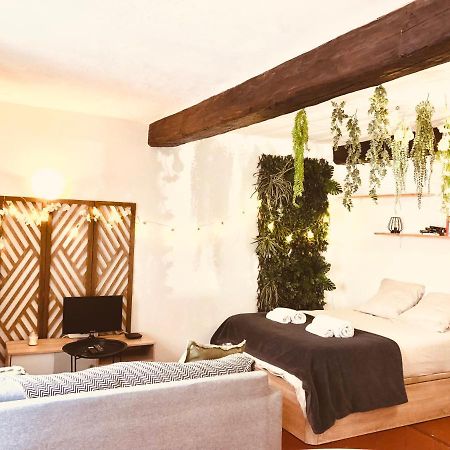 Jungle Hyper Centre Apartment Nimes Exterior photo